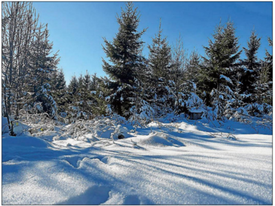 winterliche Stimmung von Regina Brenner